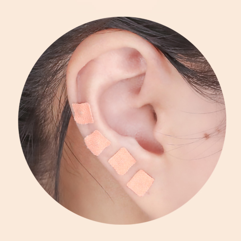 Herbal Wellness Massage - 600Pcs Stiker Telinga Biji Cowherb –